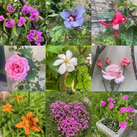 Cosy Avec Oasis Privee, Salle De Jeux, Velos Bienvenus Апартаменти *