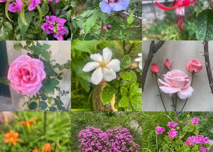 Cosy Avec Oasis Privee, Salle De Jeux, Velos Bienvenus Апартаменти *